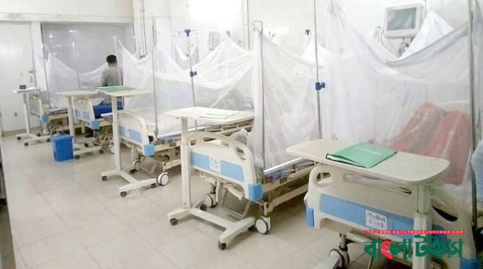 Seven dengue patients hospitalized in 24 hrs